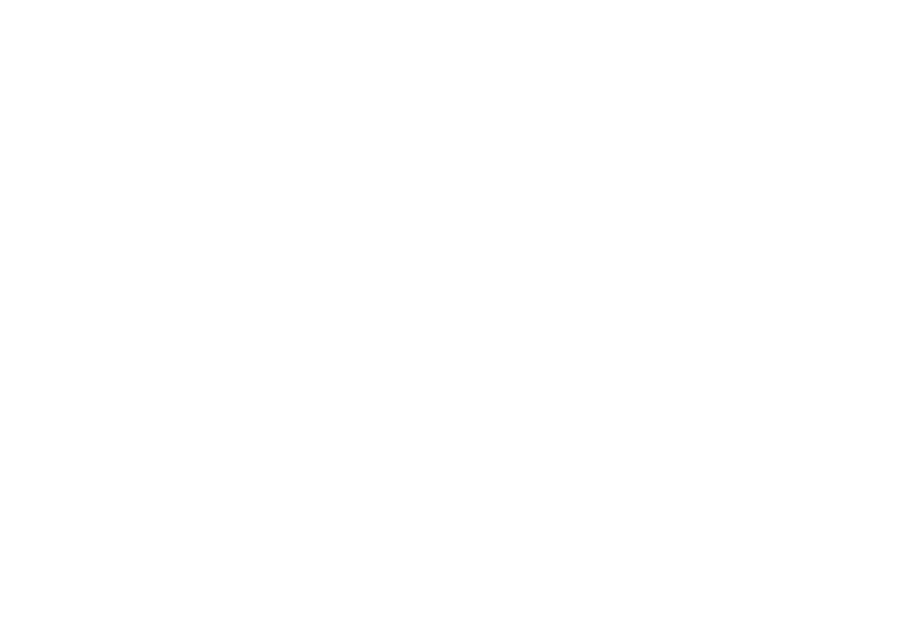 GLOBAL INVEST HOLDING Kft.